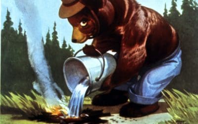 Smokey Bear Turns 80: What This Iconic Symbol Means for Forest Conservation Today